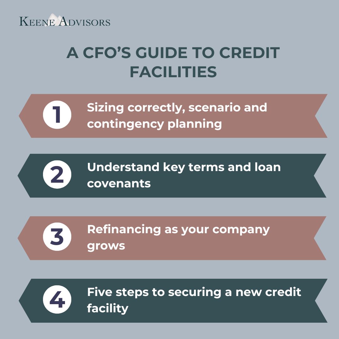 Complete Credit Facility Playbook: A CFO's Guide