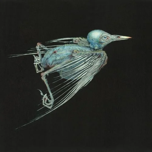 Album cover for "Meshes of Voice" by Johanna Blom, courtesy of SusannaSonata
