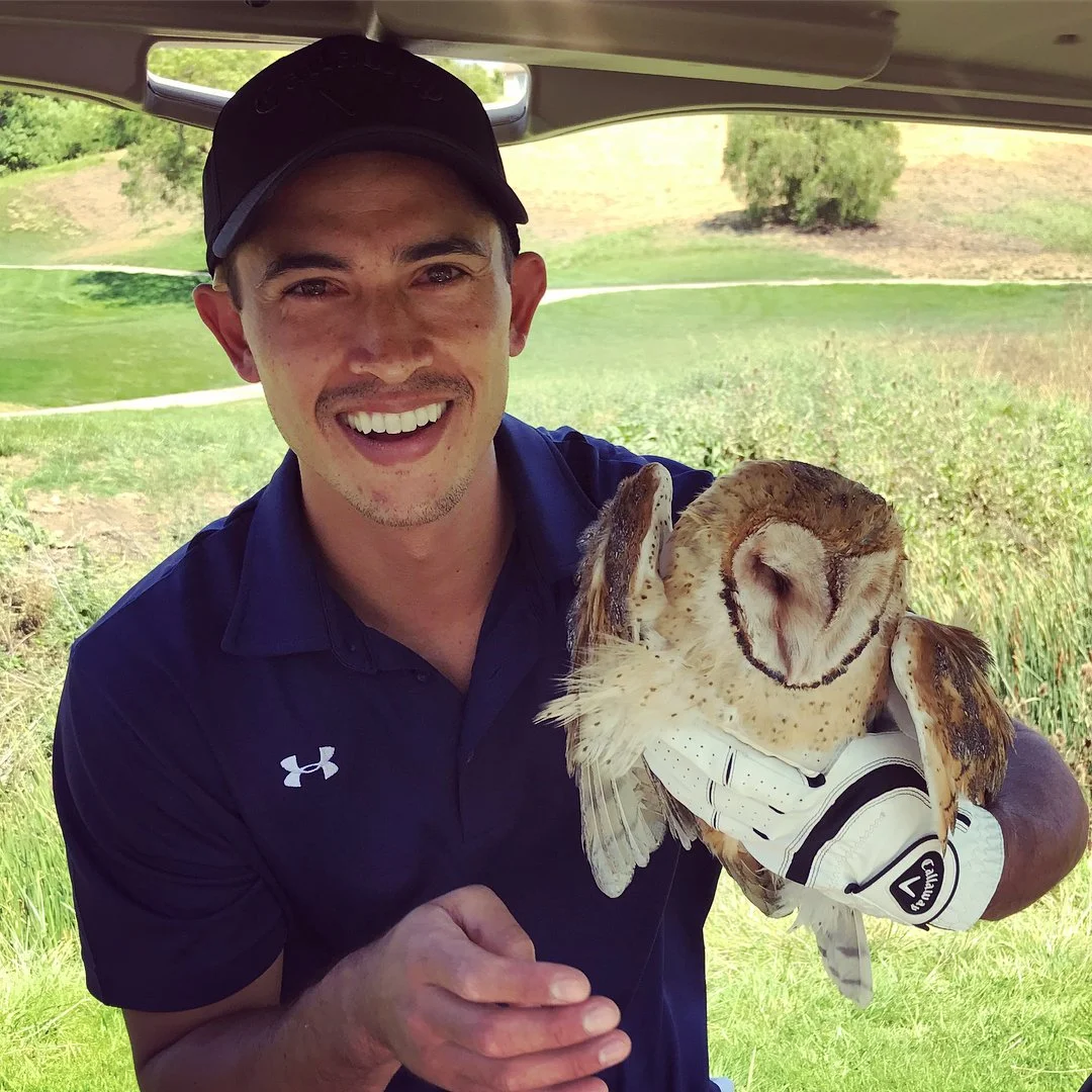 Went golfing, found an owl!  His talon was wrapped around the grass &amp; was tethered to the ground, unable to fly. We freed it, gave him water and tried to keep him alive, but it was struggling.  Drove it to Lindsay Wildlife Rescue and hoping they 