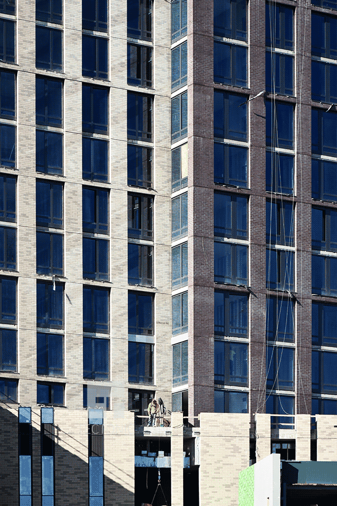 Facade and windows
