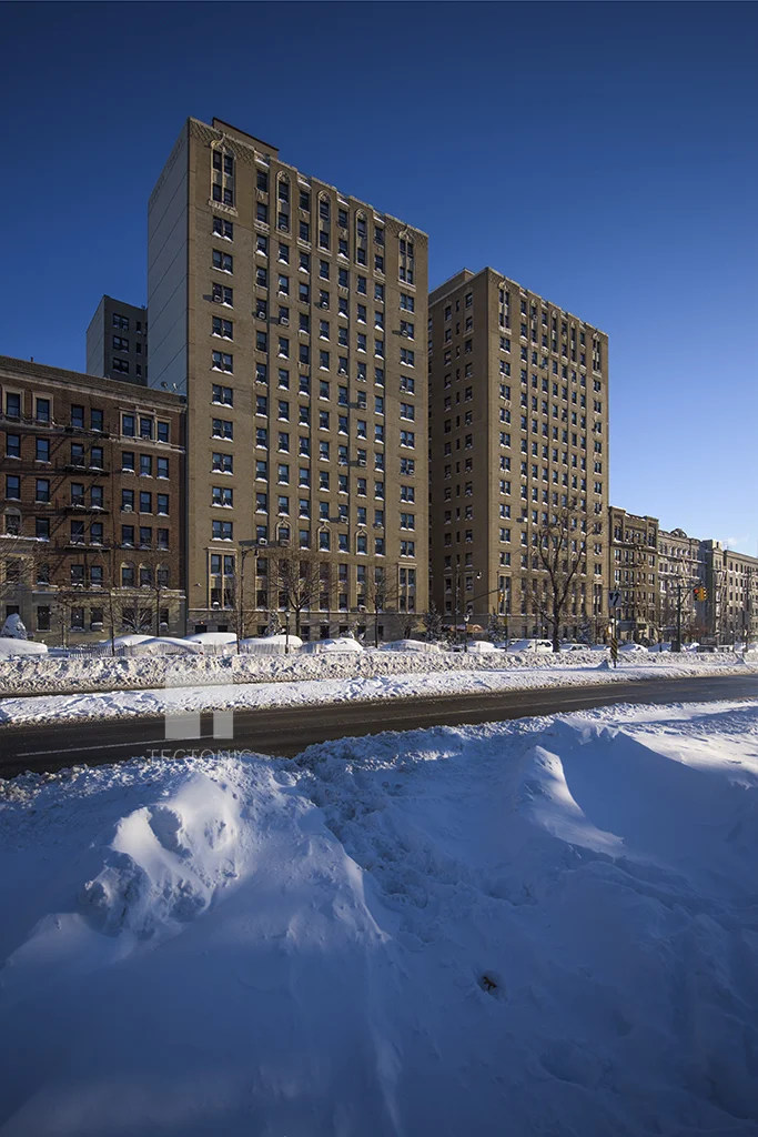 Viewed from the south along Eastern Parkway