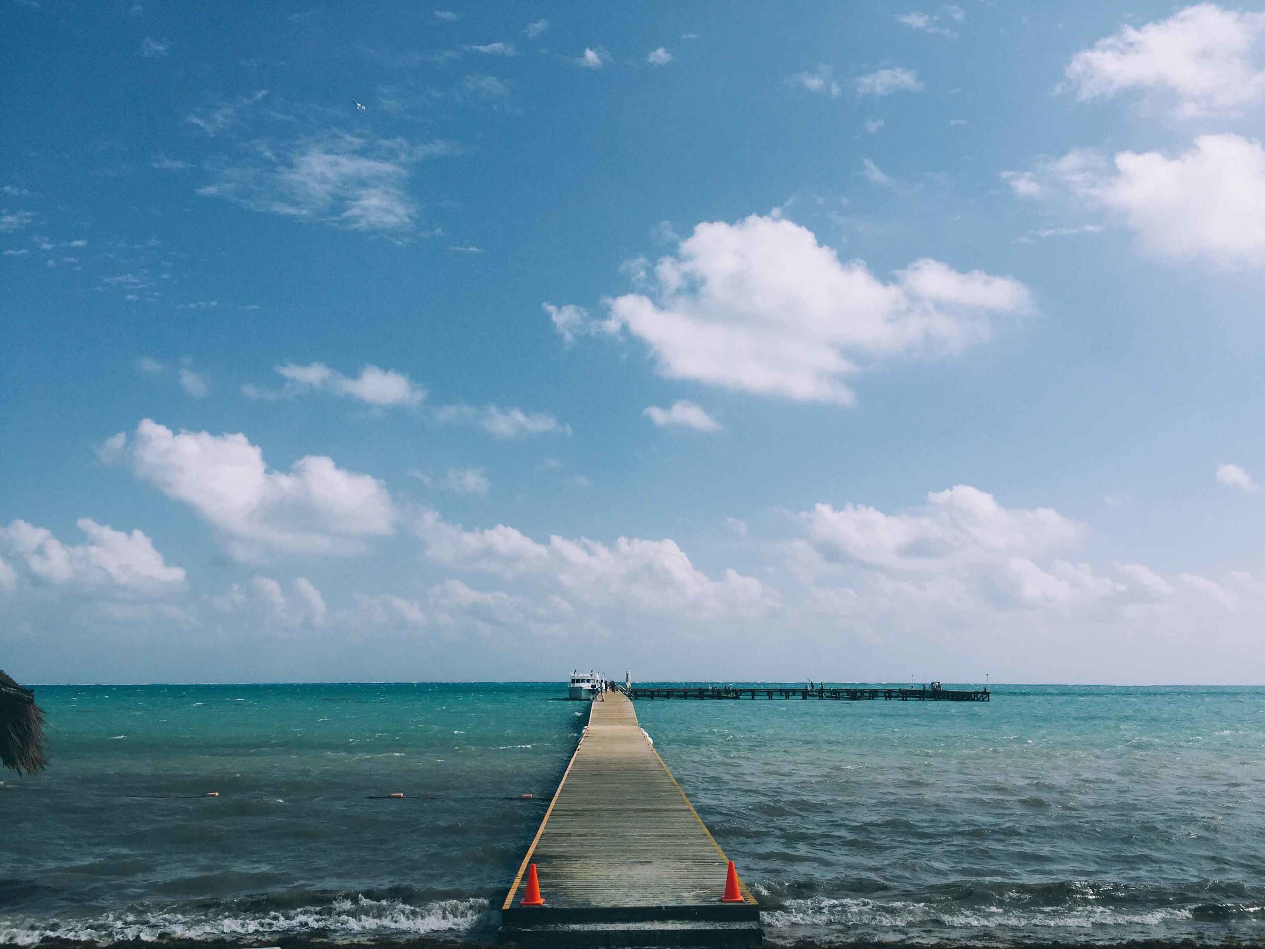 backdrop.jpg