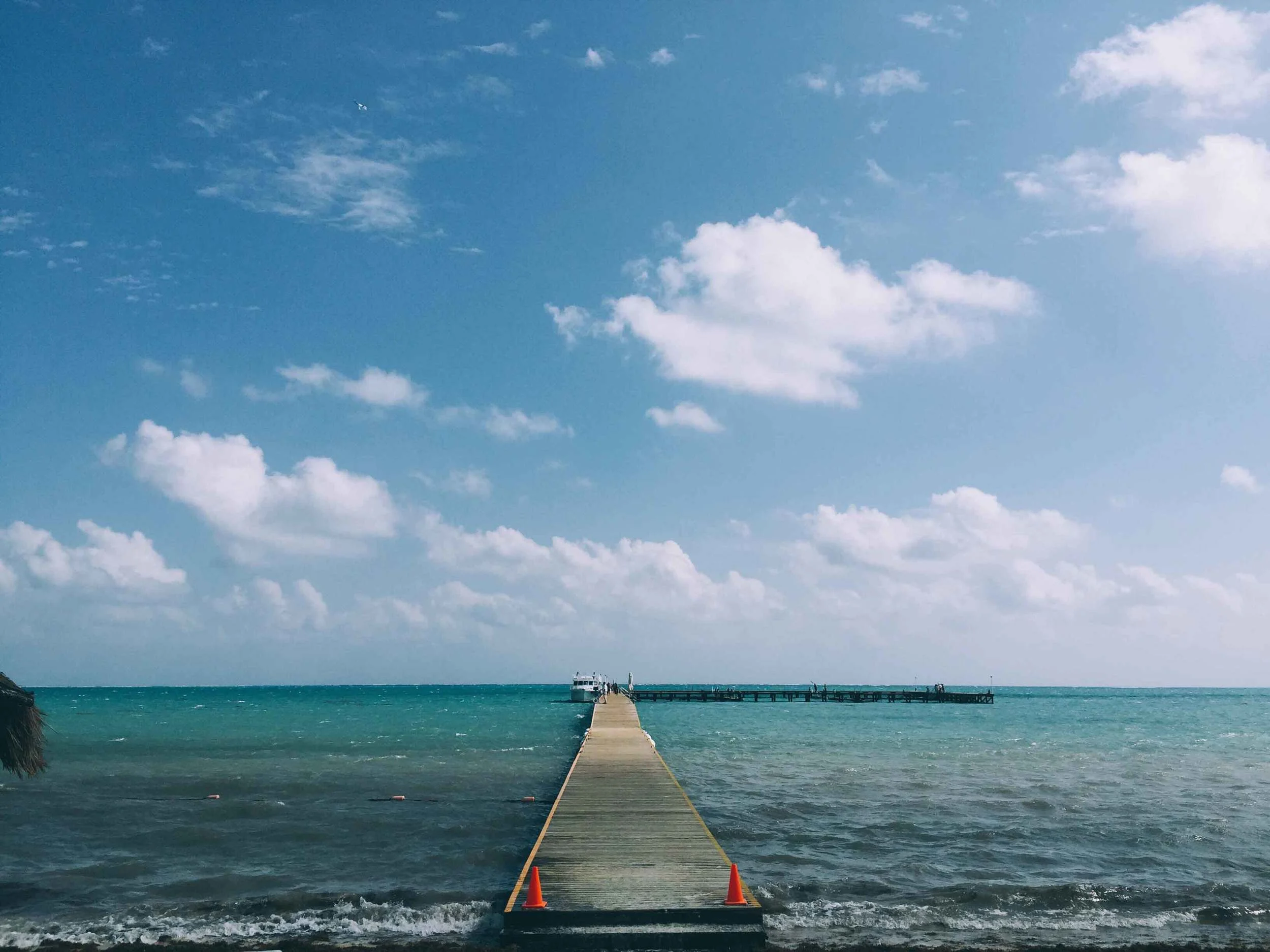backdrop.jpg