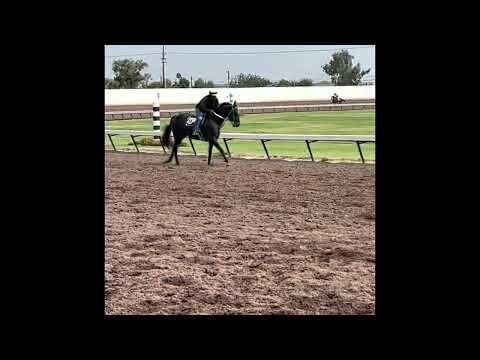 FOR SALE: "Shanghai"