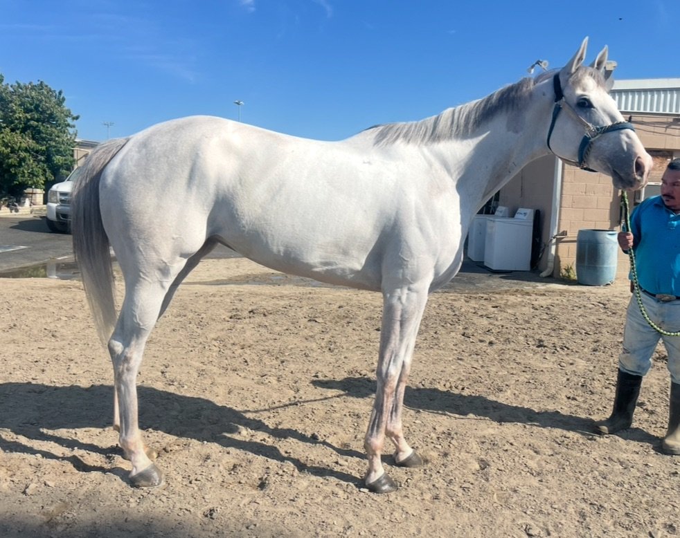 View recent photos (1).JPEG