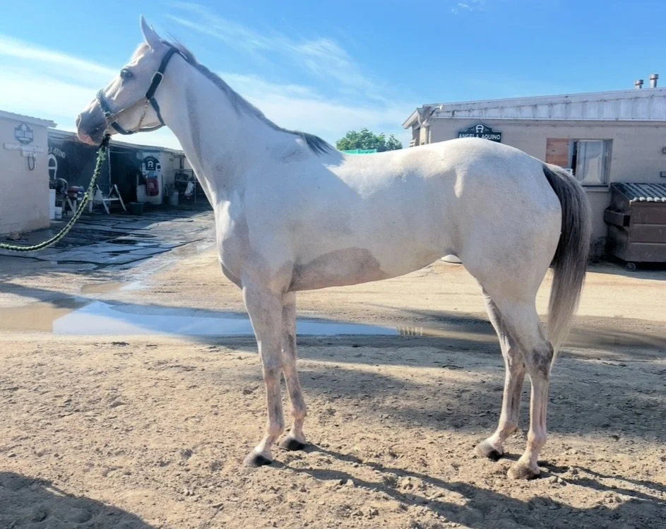 View recent photos.JPEG