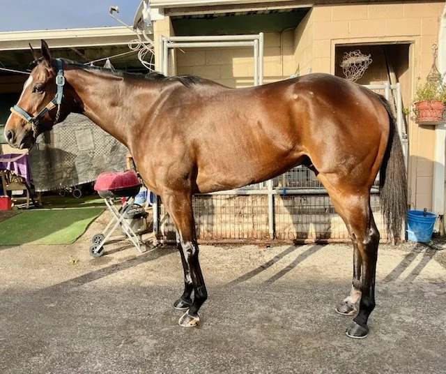 FullSizeRender (4).jpeg