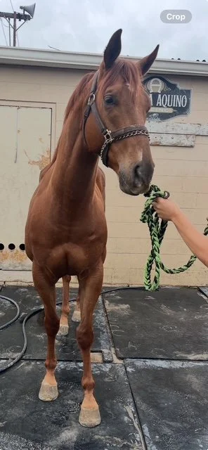 View recent photos.JPEG