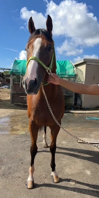 View recent photos.JPEG