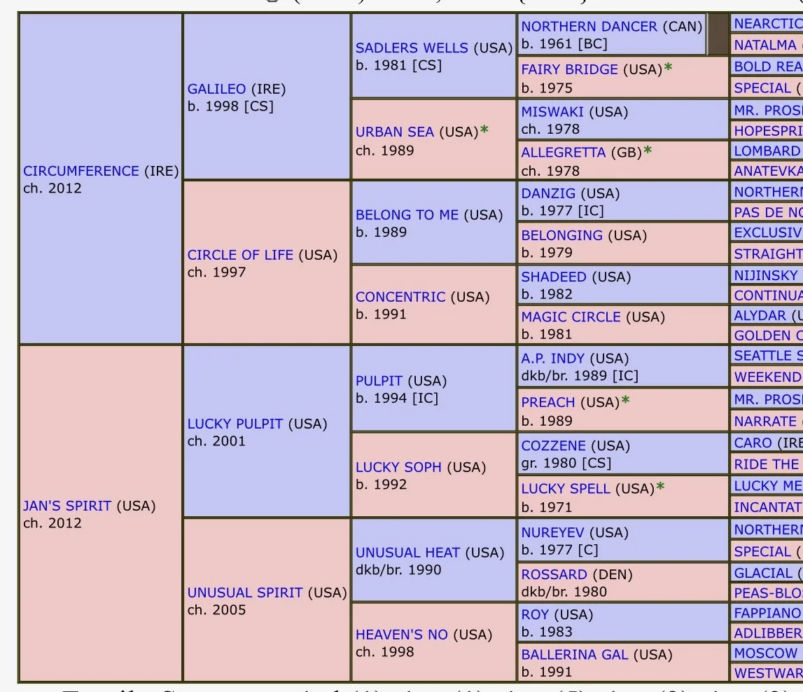 Redeeming Spirit Horse Pedigree.jpg
