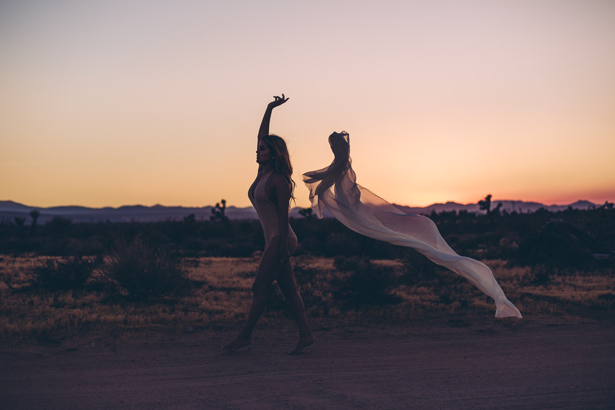 Joshua Tree: A Paradoxical Beauty, Part 2