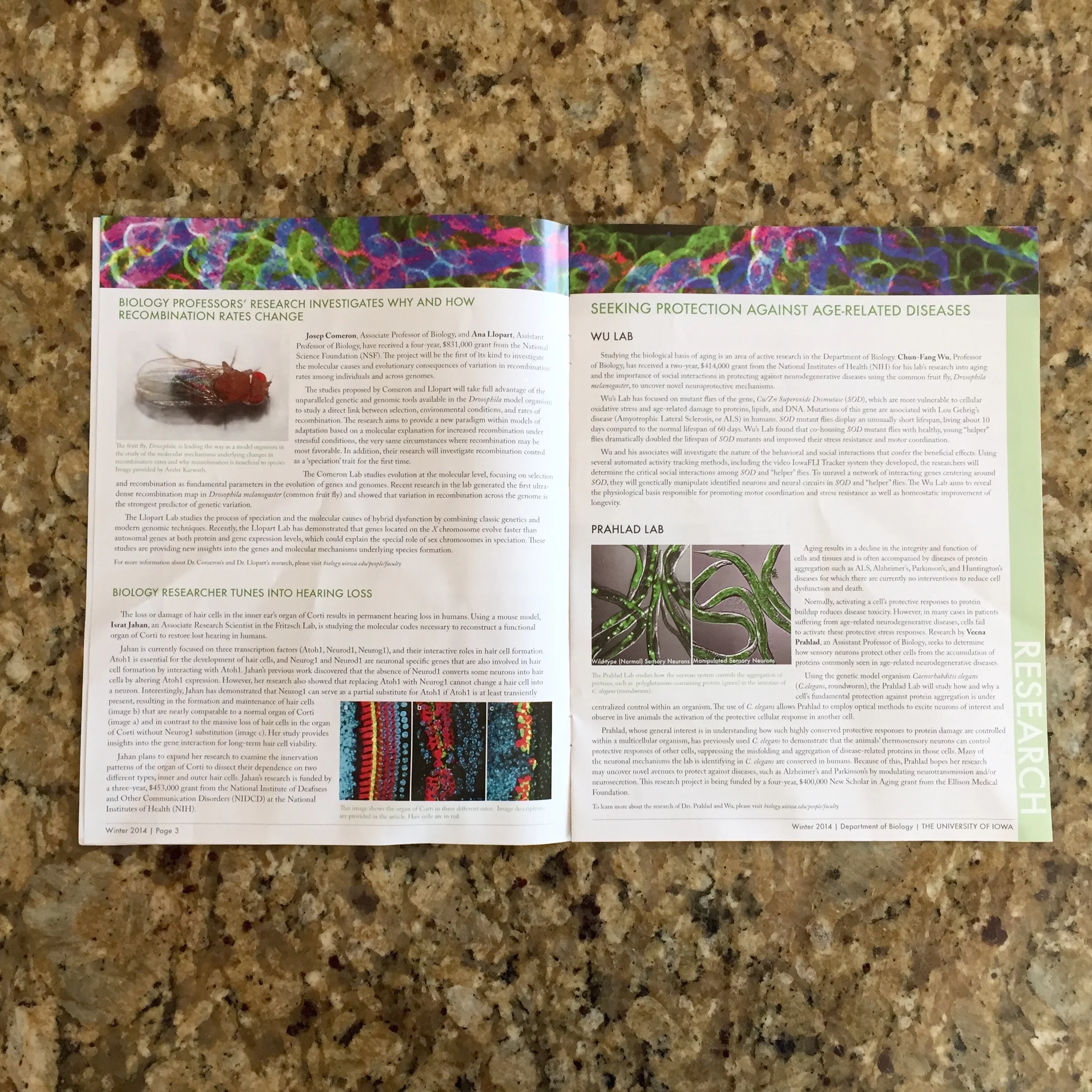 FullSizeRender 5.jpg