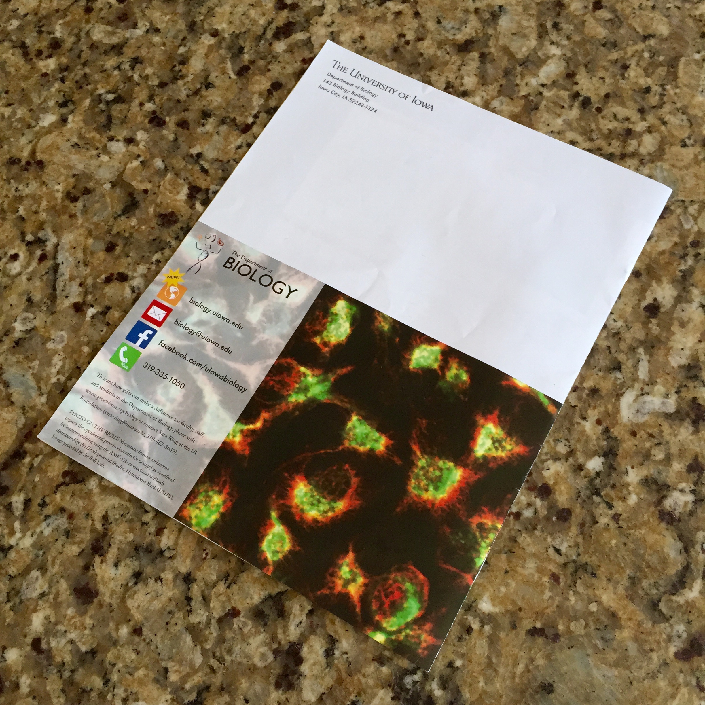 FullSizeRender 3.jpg