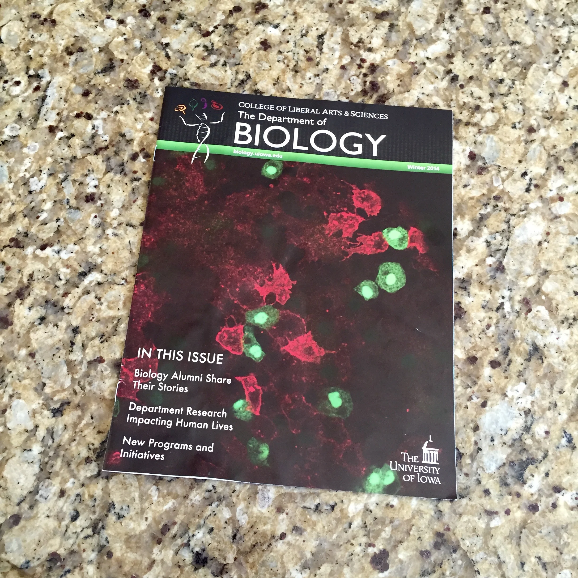 FullSizeRender 2.jpg