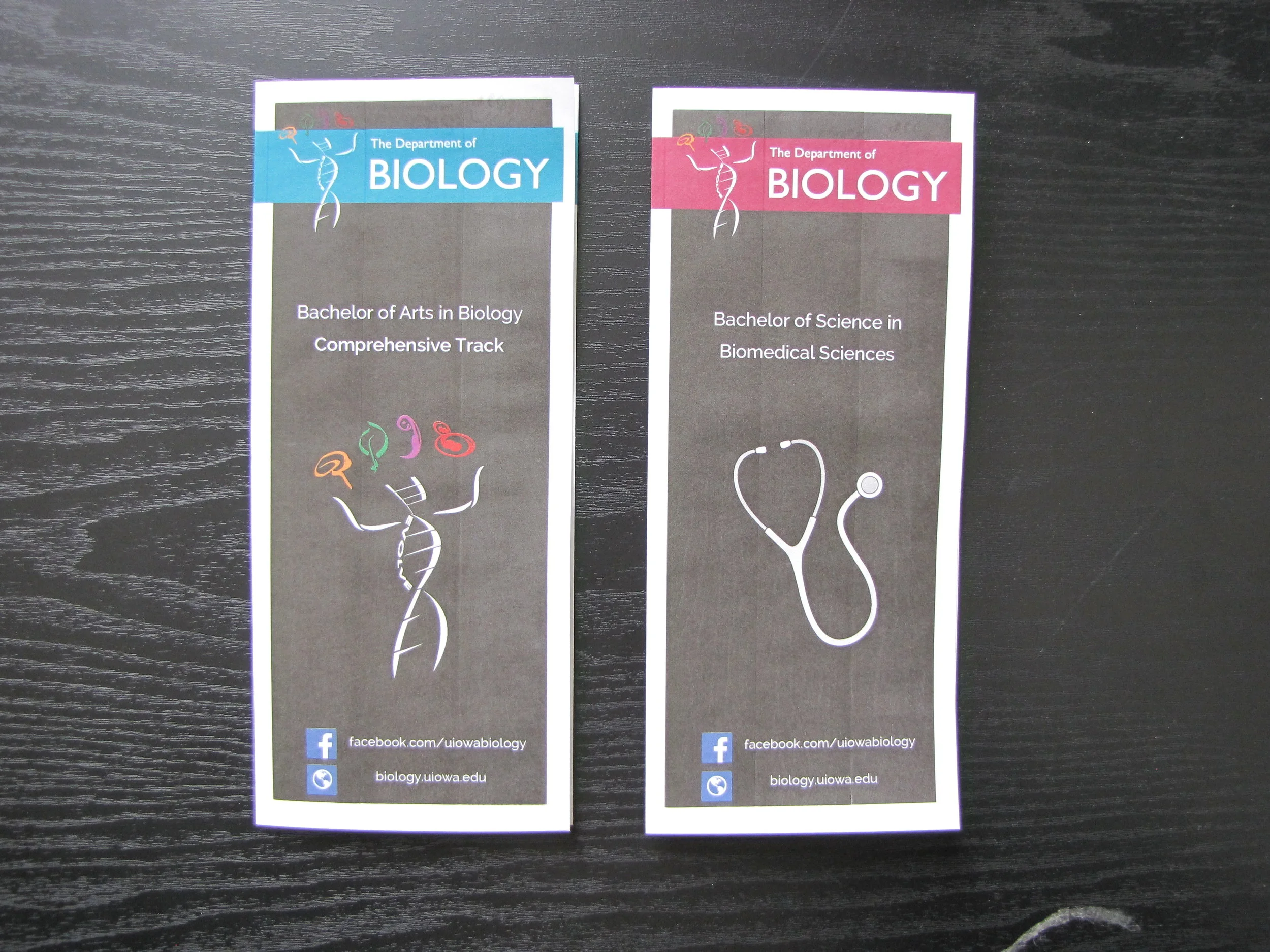 150813_1895 copy.JPG