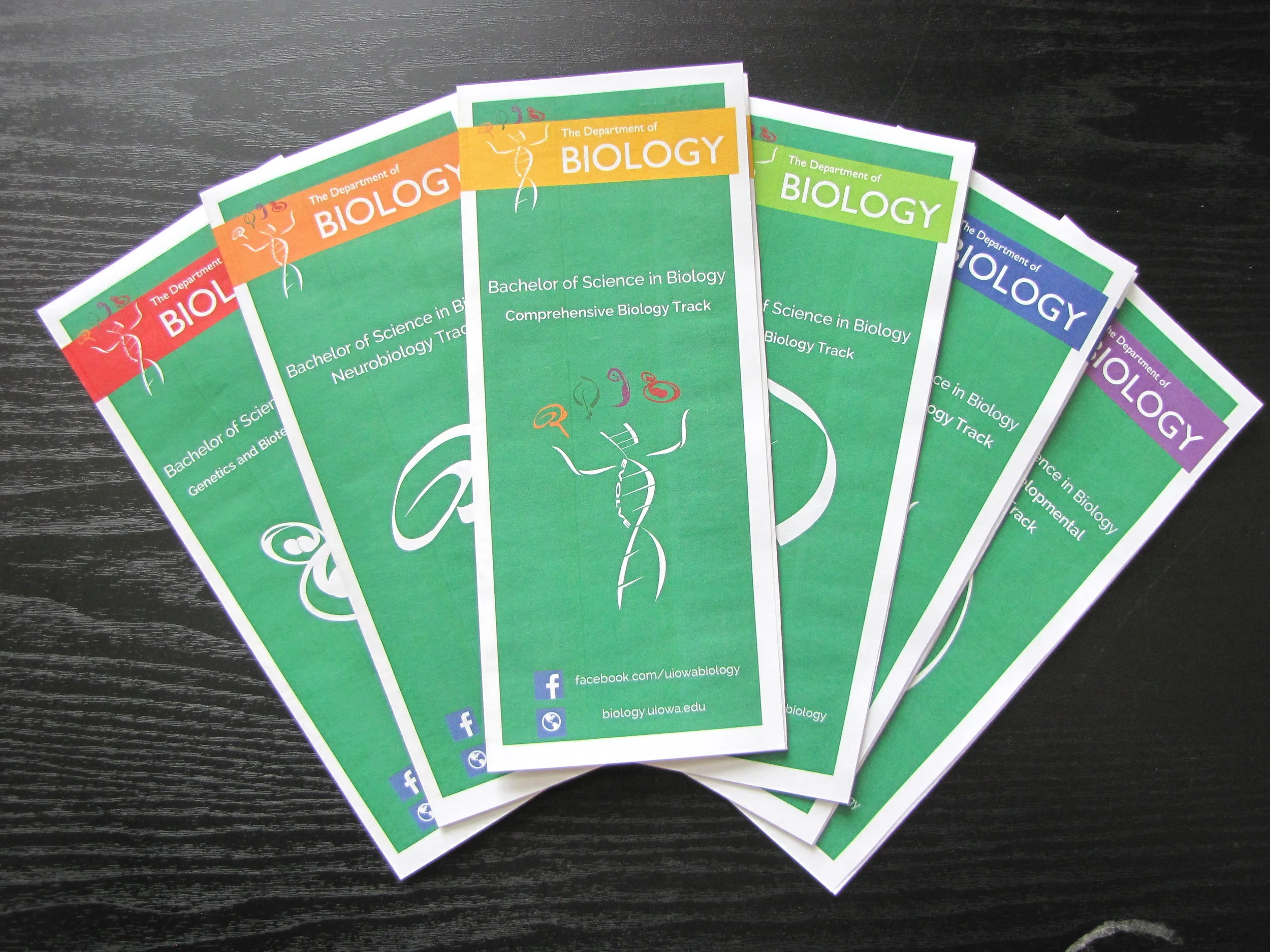 150813_1894 copy.JPG