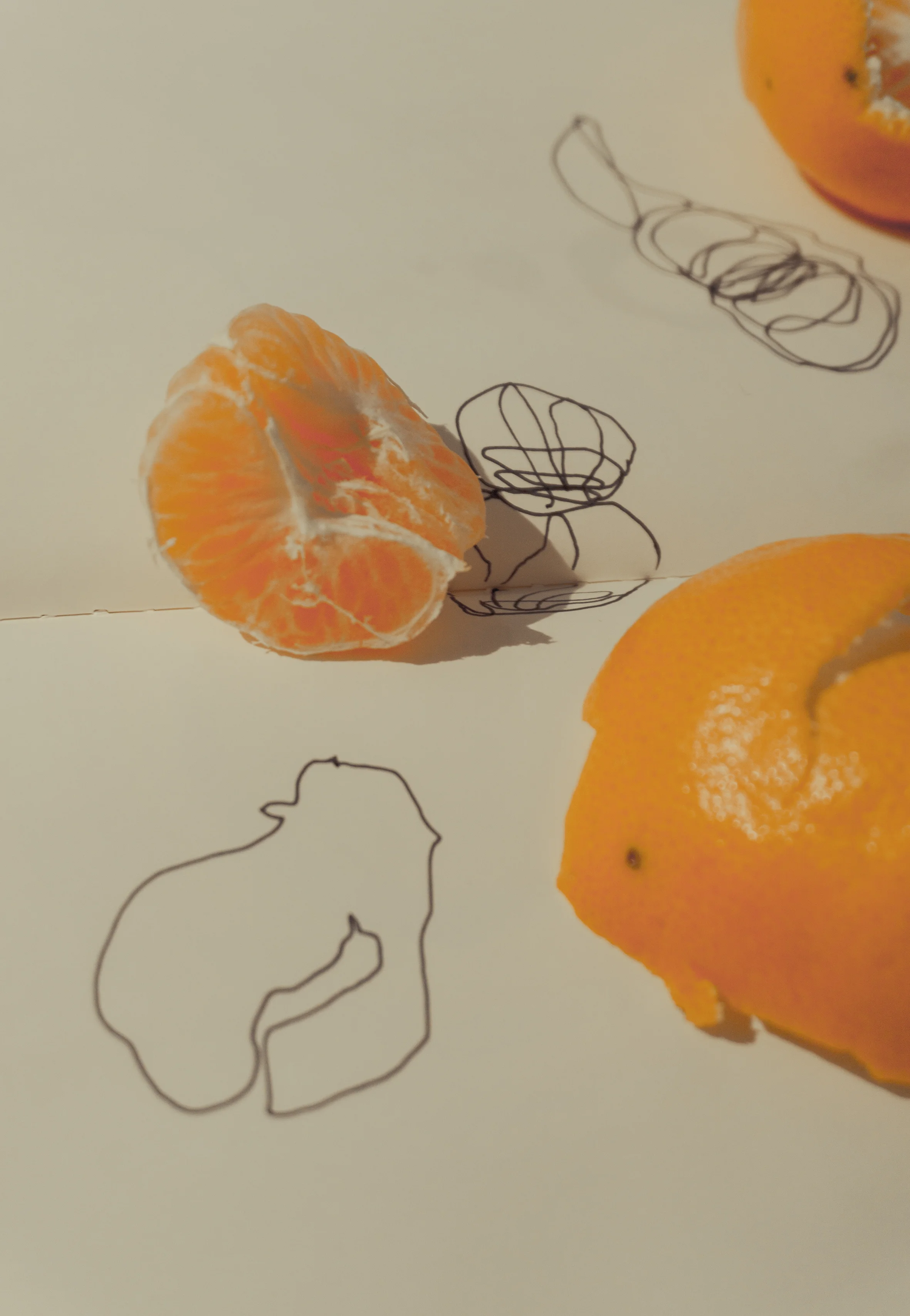 Clementine study break1.jpg