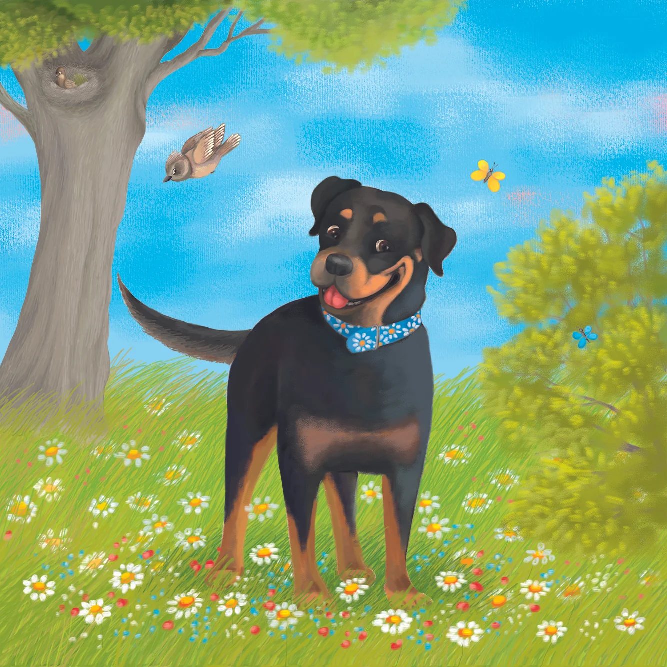 Daisy The Rottie