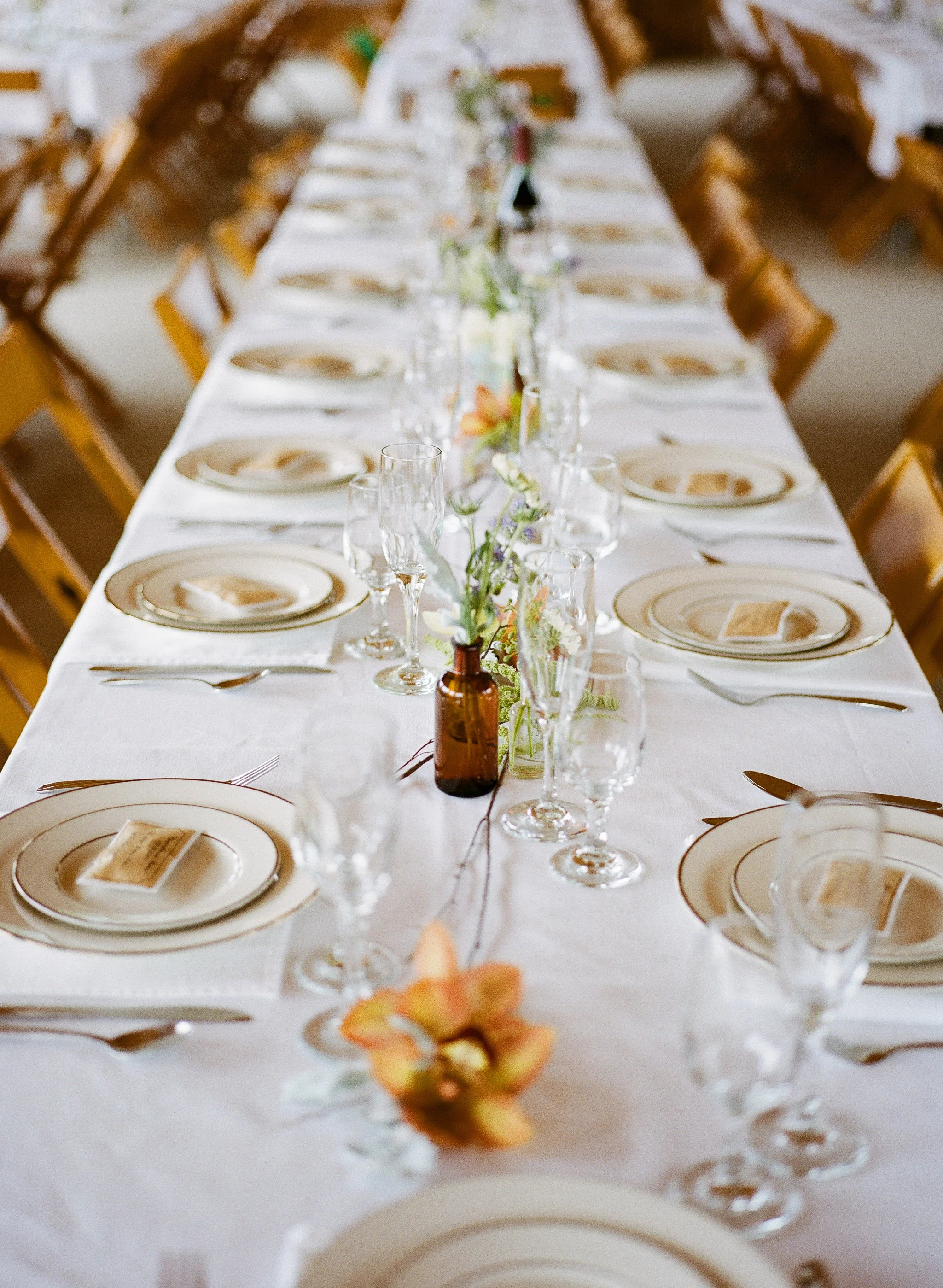Siousca Photography+Philadelphia Film Wedding Photographer+Philadelphia Wedding Photographer+Finger Lakes Wedding Photographer+Finger Lakes Wedding+West Chester Wedding Photographer+Ithaca Wedding Photographer+The FindLab.jpg