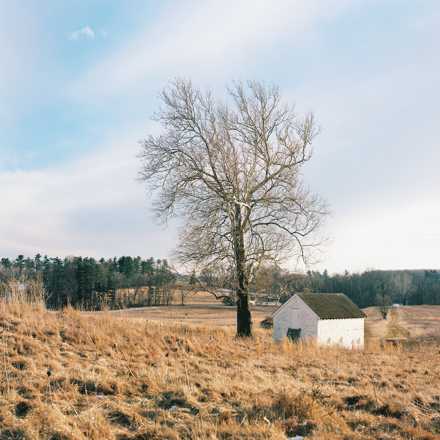 AAwaddell000225-R2-E015-Edit.jpg