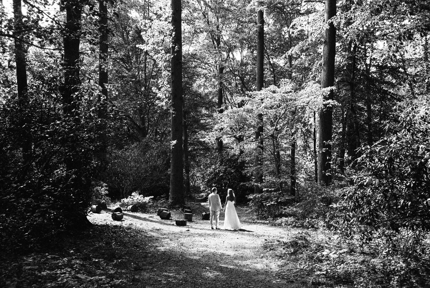 Siousca_Photography_Philadelphia_Wedding_Photographer_Deer_Tyler_Arboretum-004.jpg