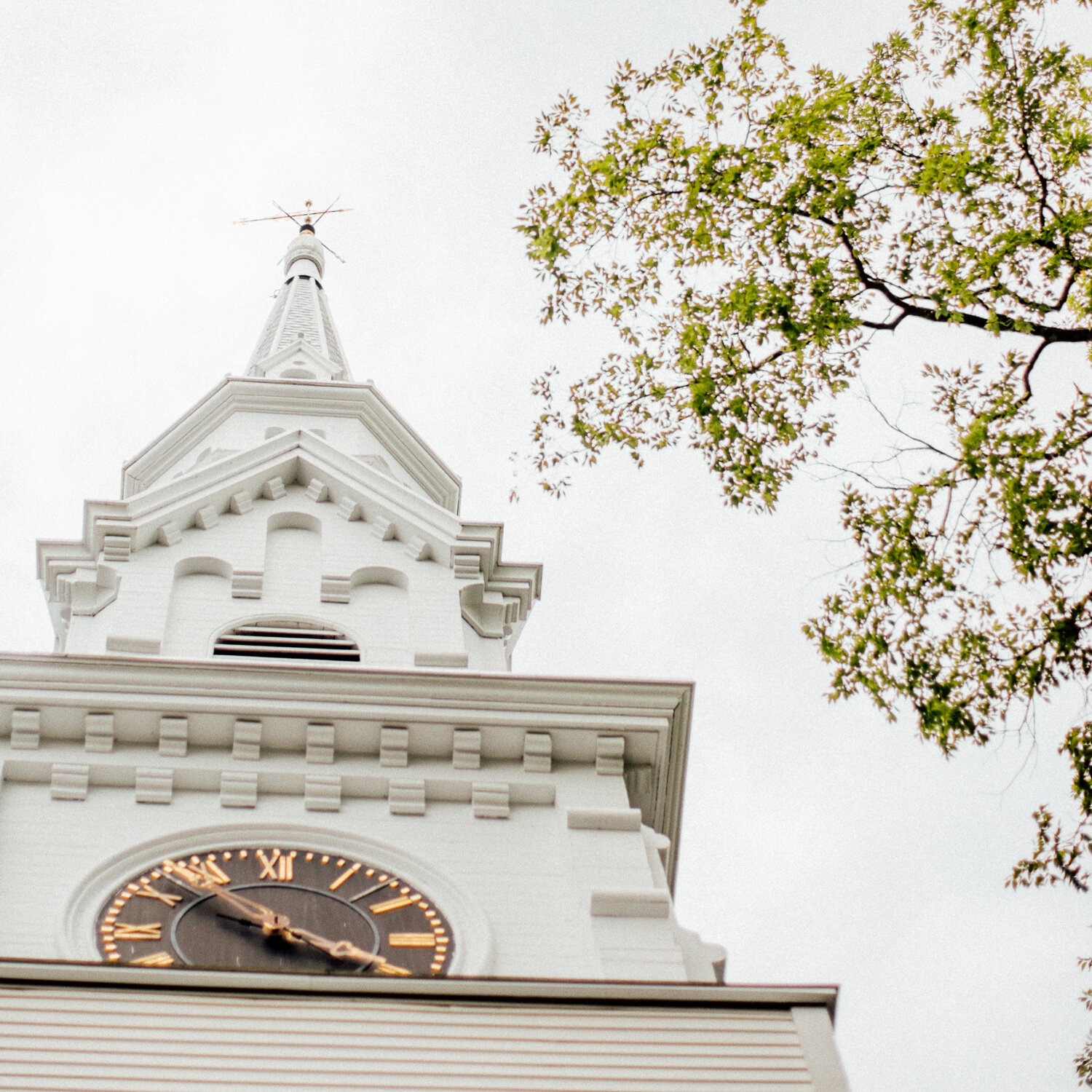 016-siousca_castine_maine_wedding_photographer_dave_waddell_.jpg