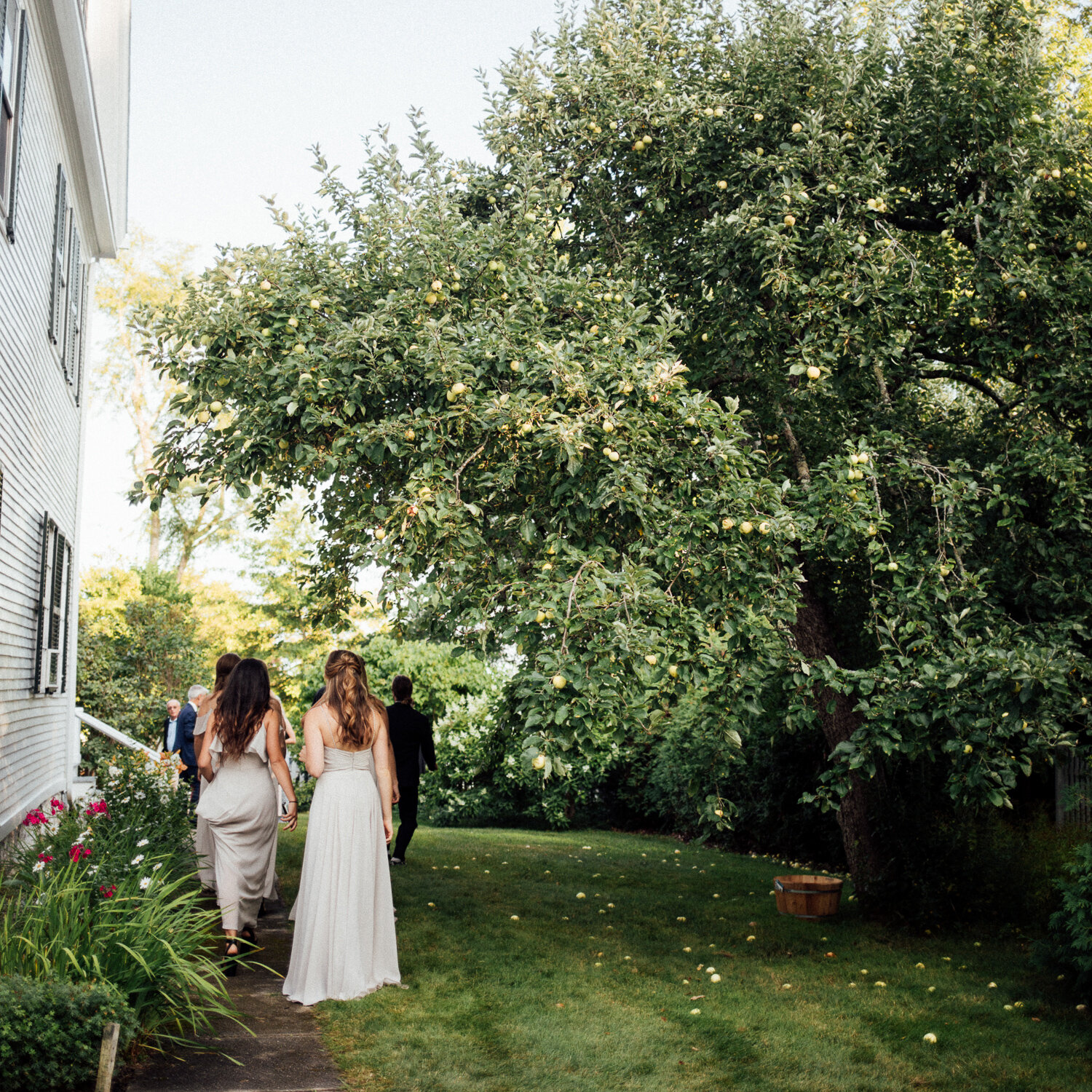 047-siousca_castine_maine_wedding_photographer_dave_waddell_.jpg