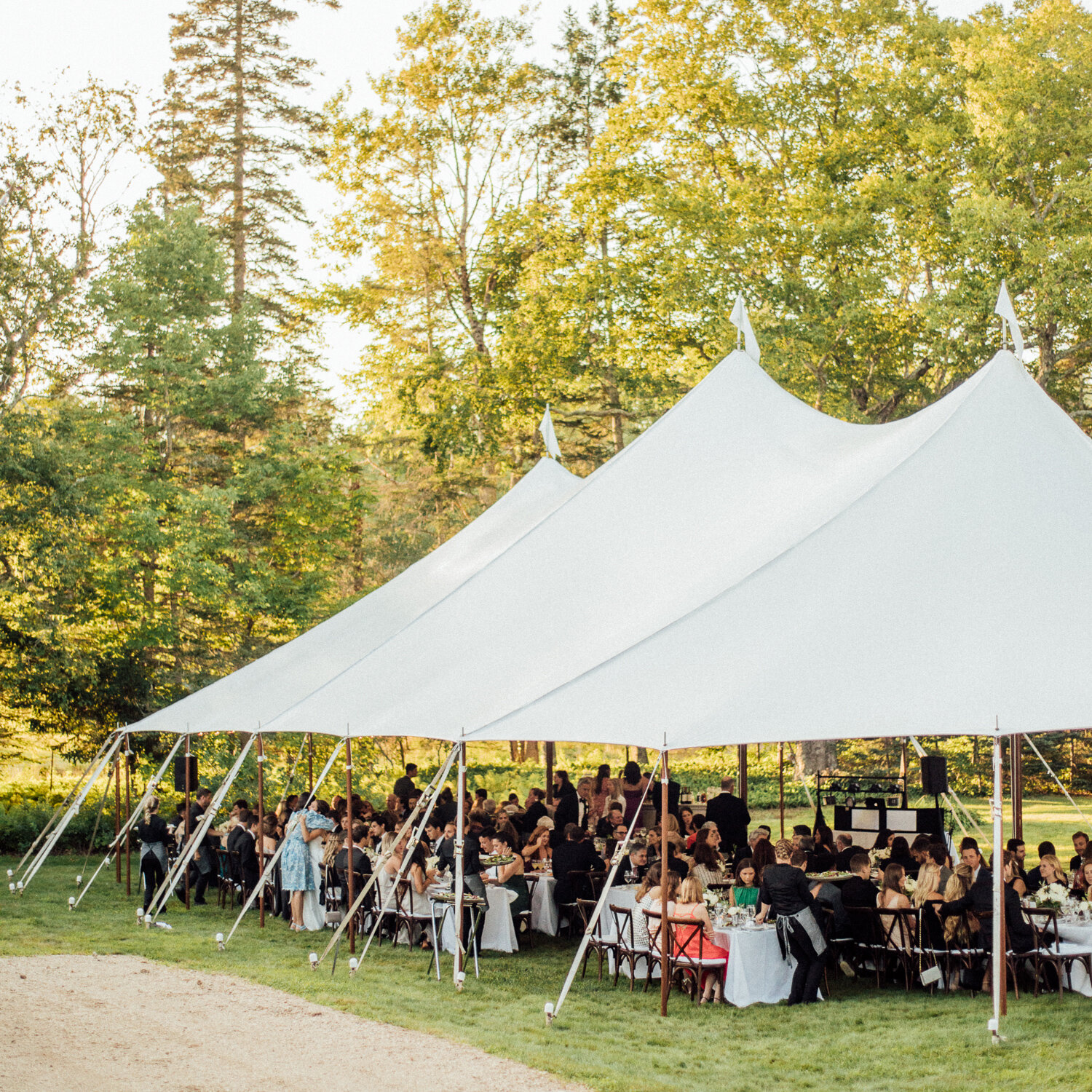 052-siousca_castine_maine_wedding_photographer_dave_waddell_.jpg