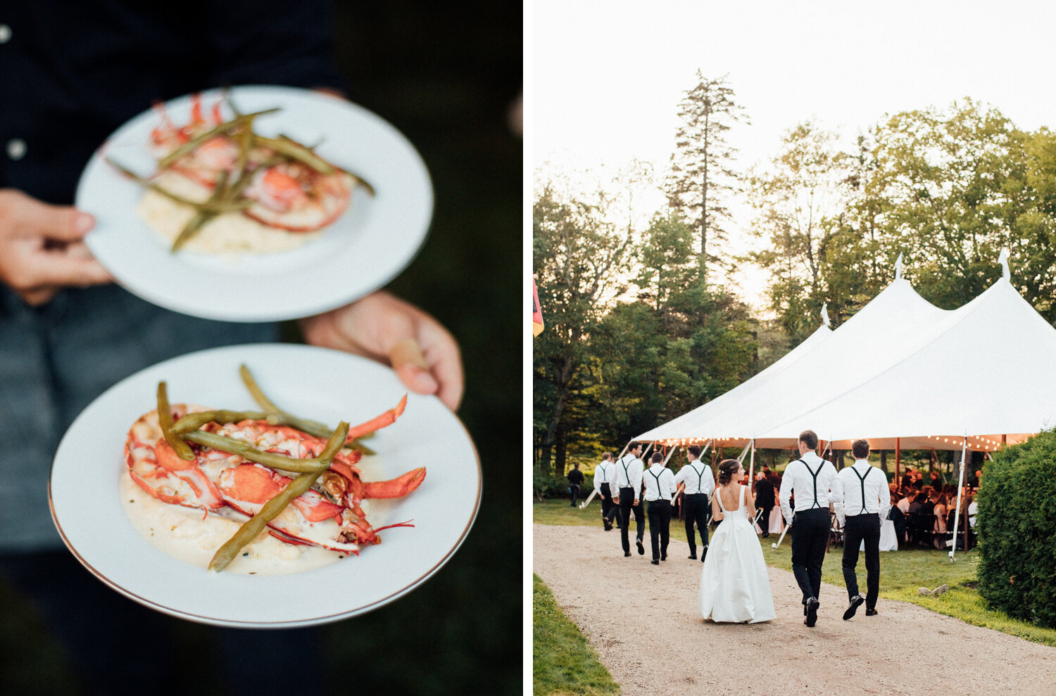 056-siousca_castine_maine_wedding_photographer_dave_waddell_.jpg