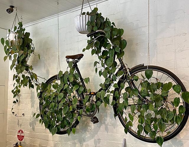 Two pots, one bike - pretty cool!