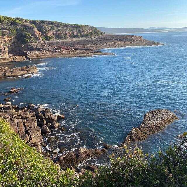 Sunshine and sea #sapphirecoast #turabeachheadland