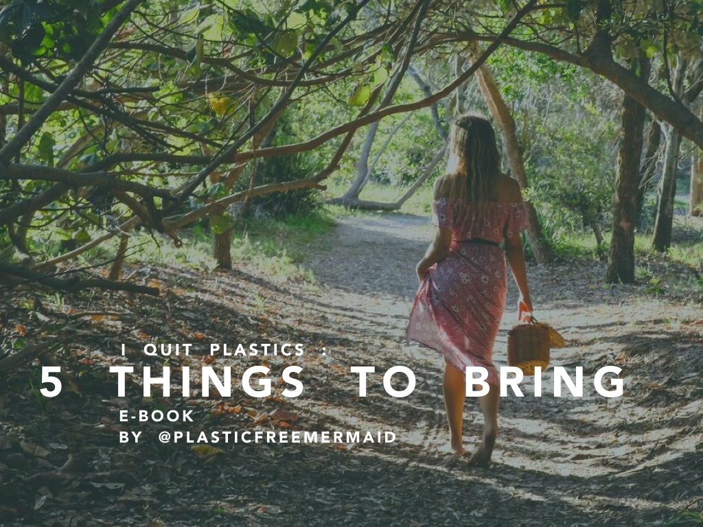 I Quit Plastics : 5 Things to Bring E-Book