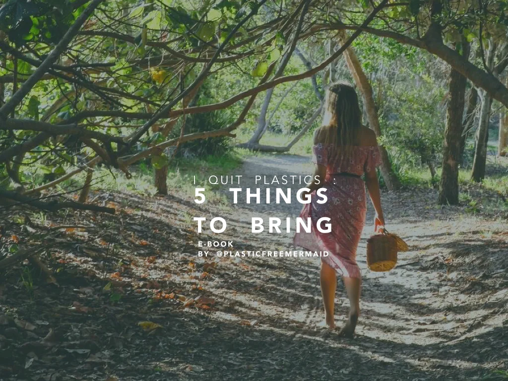 I Quit Plastics: 5 Things to Bring COVER.001.jpeg
