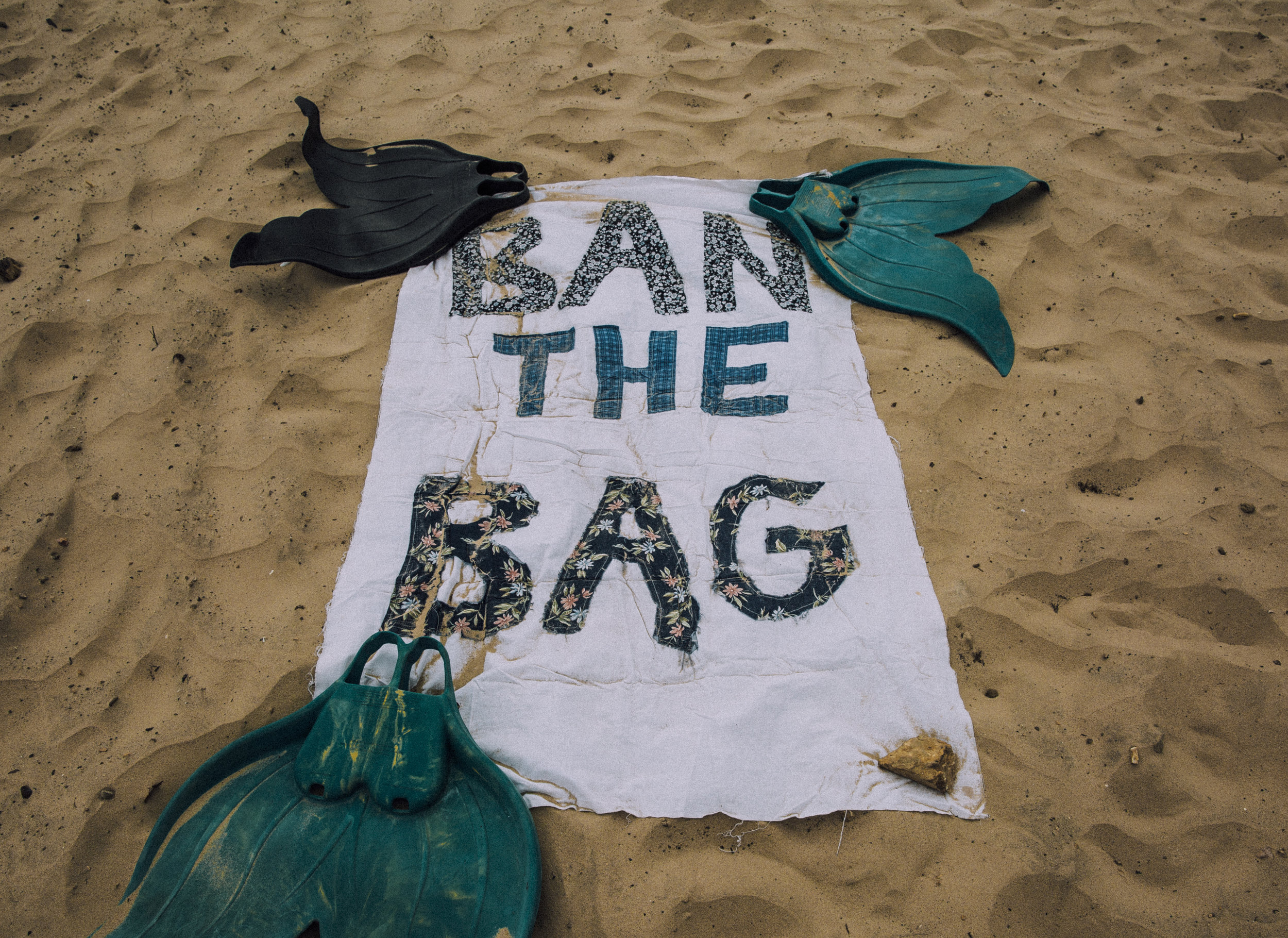 Ban the bag.jpg