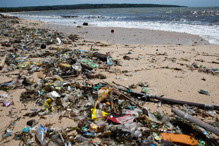 ocean-plastic-toxic-absorb.jpg