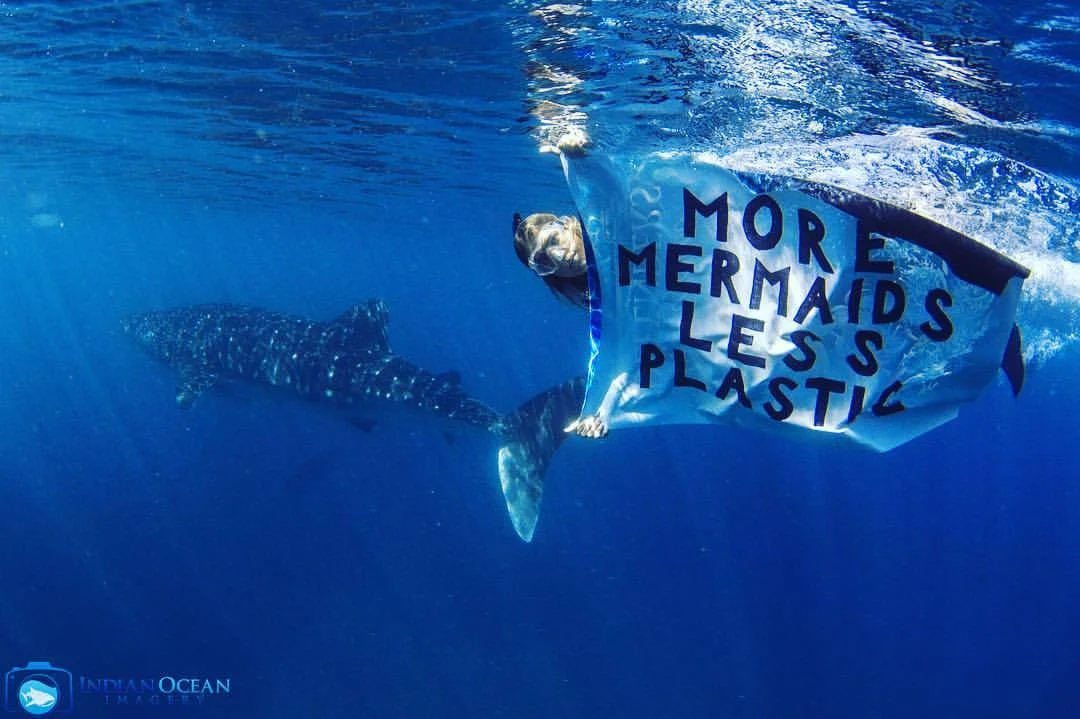 More Mermaids.jpg