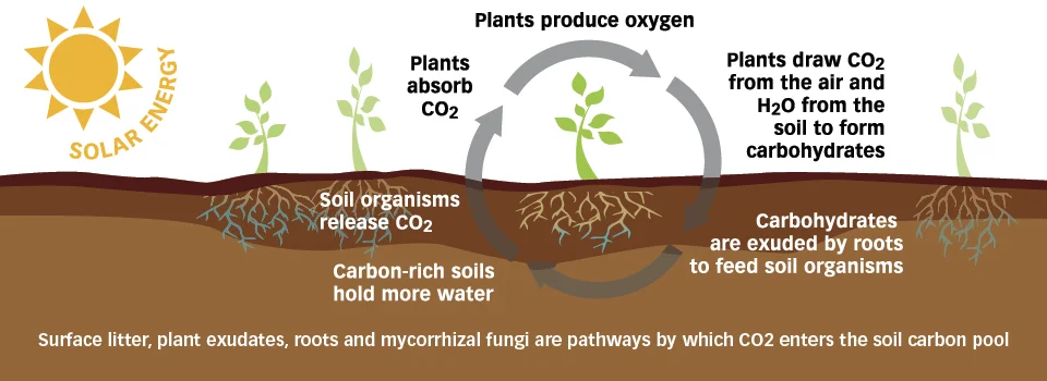carbon-cycle-slider.jpg