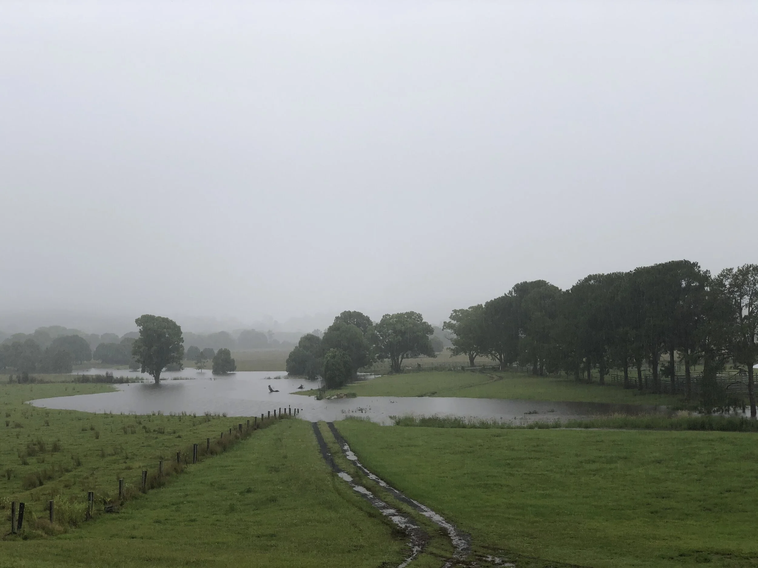 Floods Instead of Fires : Climate Change Reflections Amidst Weather Fluctuations