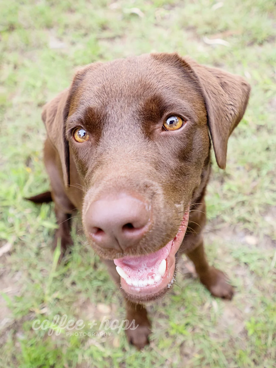 Sadie