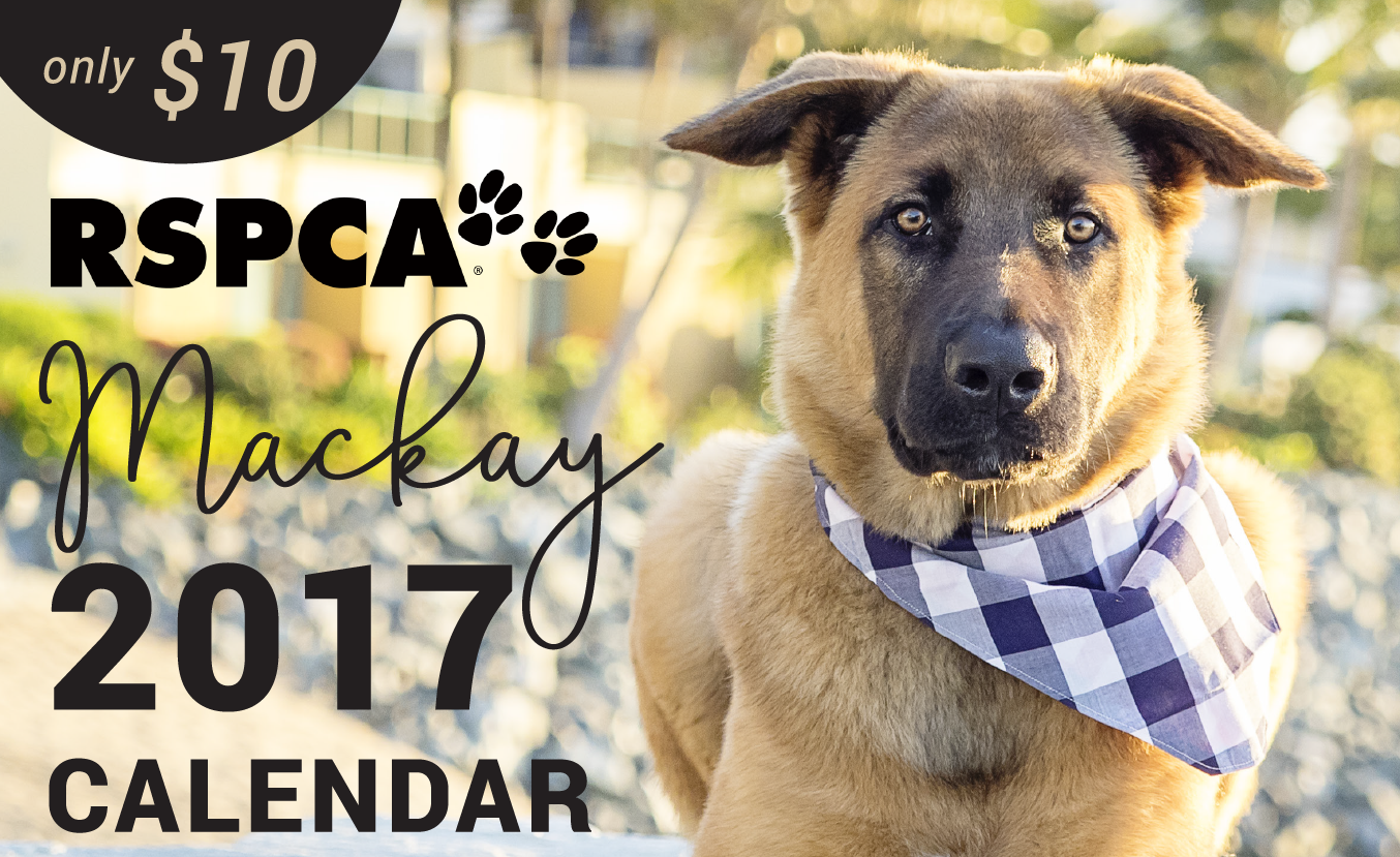 RSPCA MACKAY 2017 CALENDAR