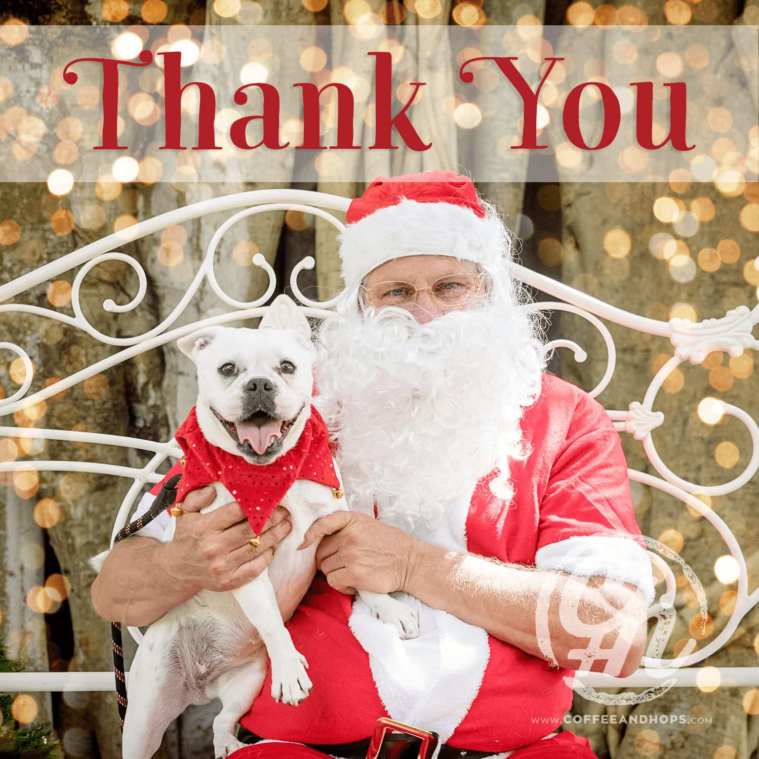 RSPCA SANTA PAWS 2016