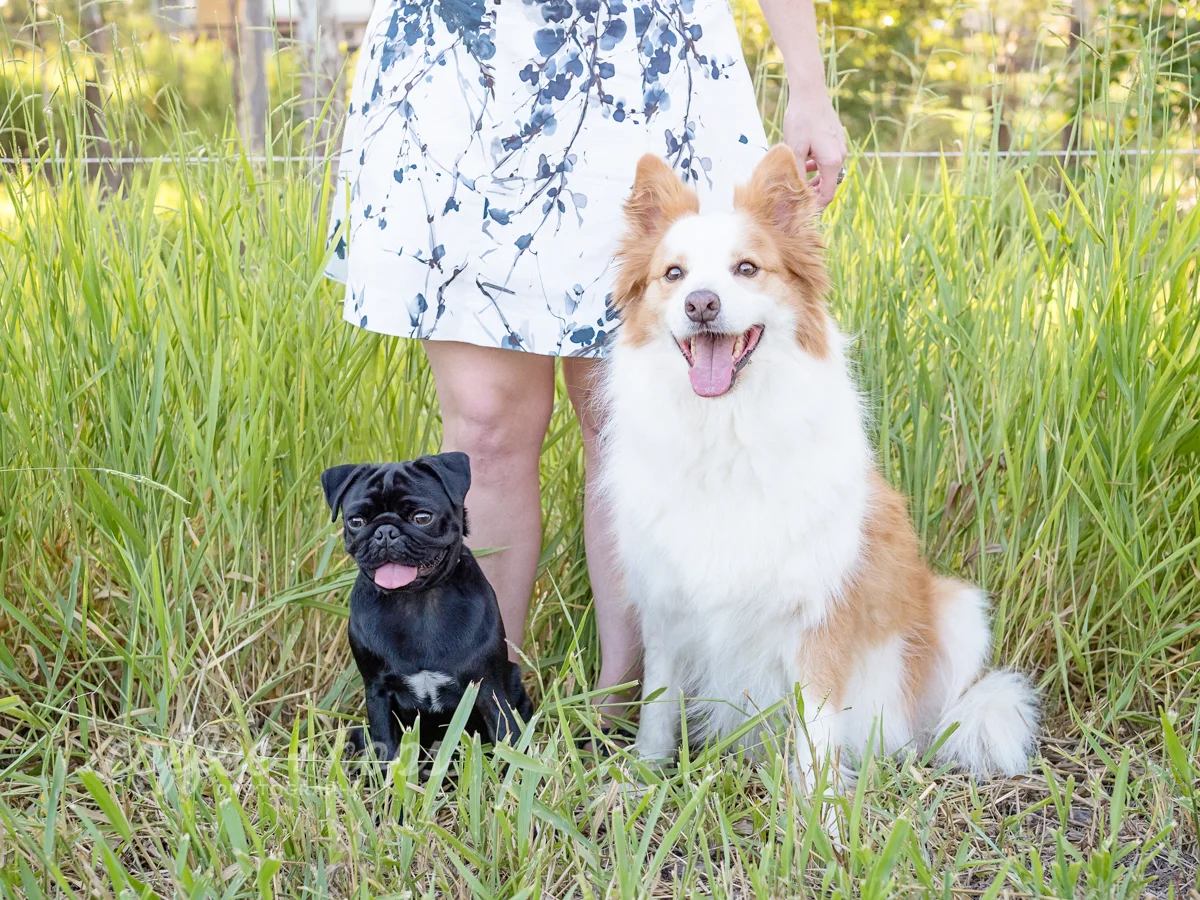Baxter and Winston