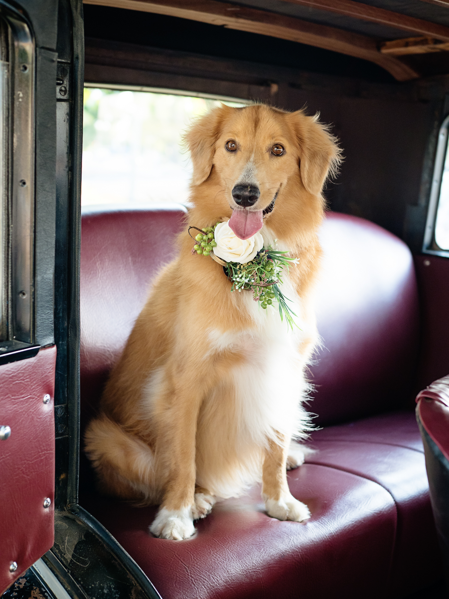 Custom flower collar