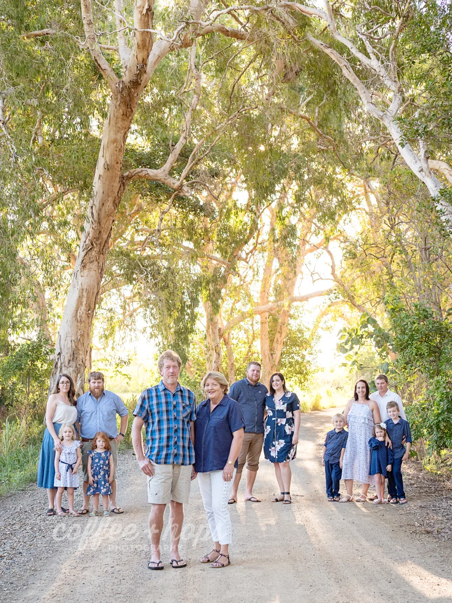 The Large Family