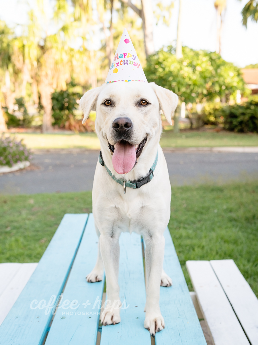 Leo Turns 2