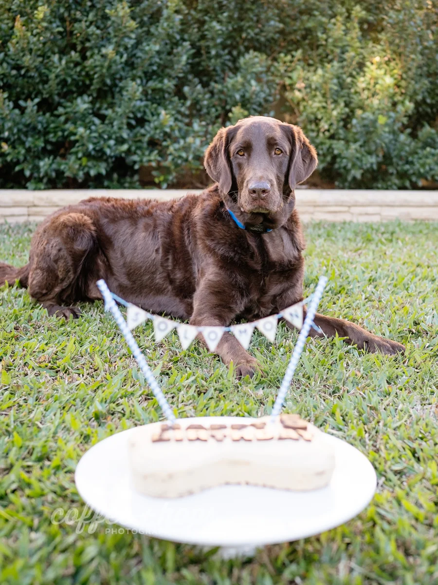 Solomon Turns 5