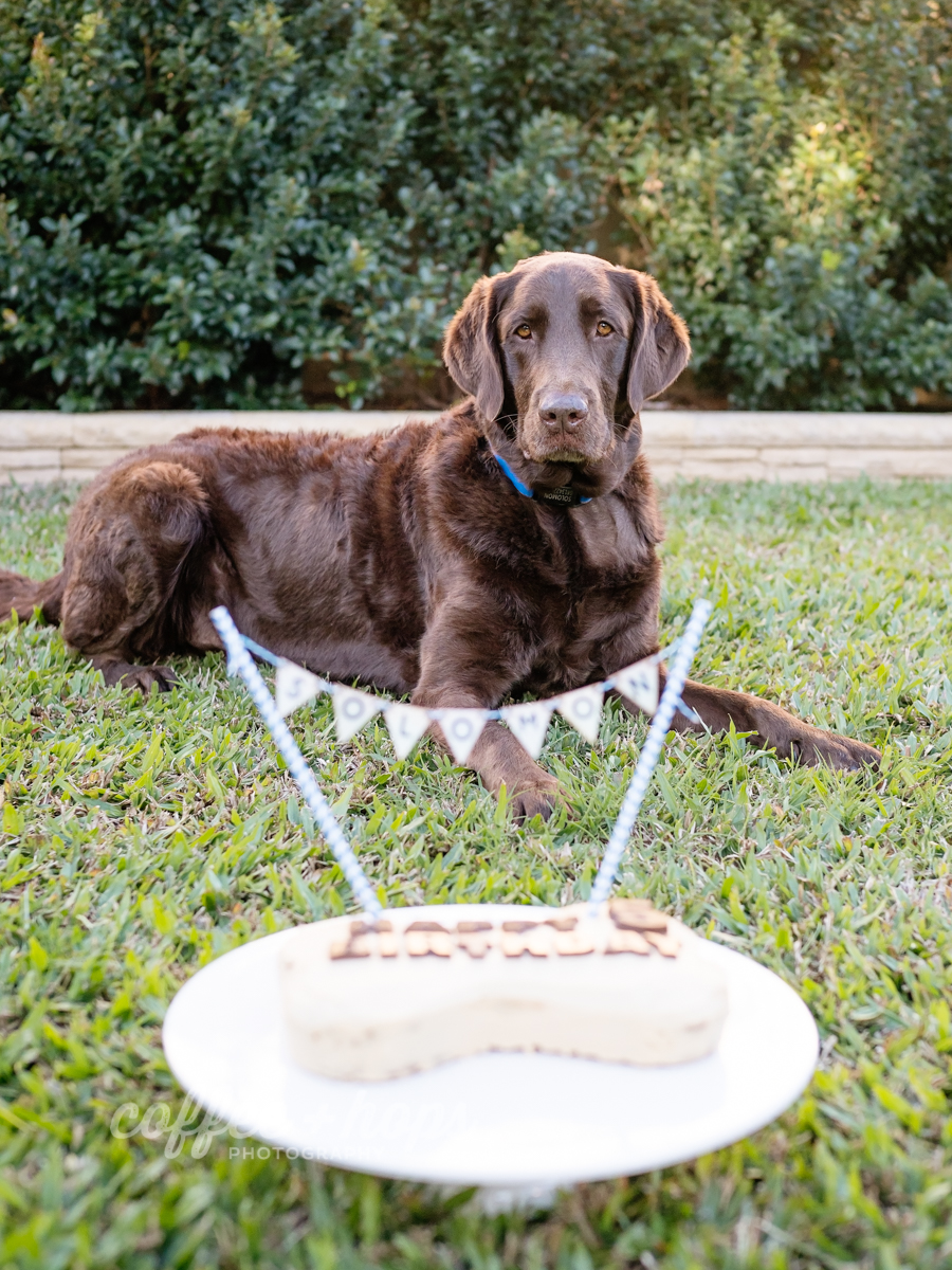 Solomon posing prior to smashing his birthday cake