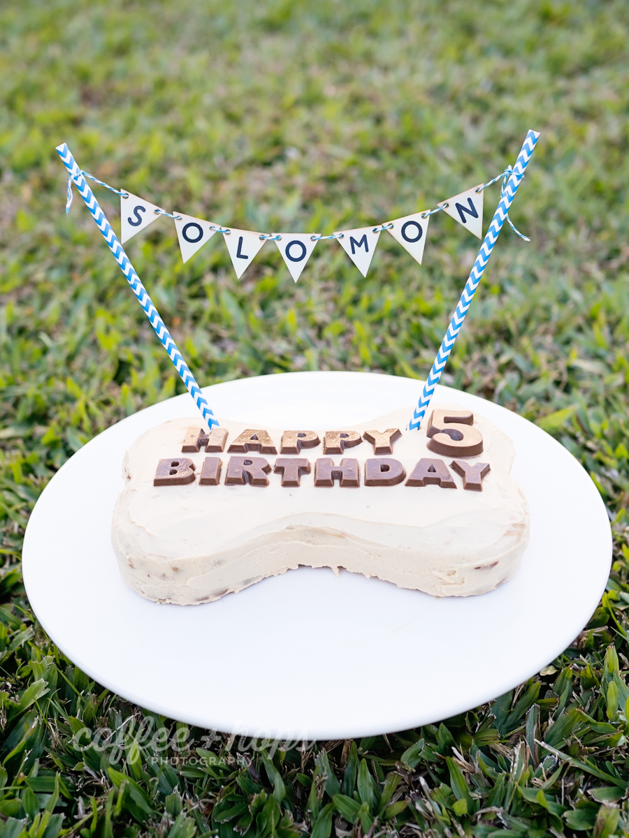 Solomon's cake from Barking Mad Treats
