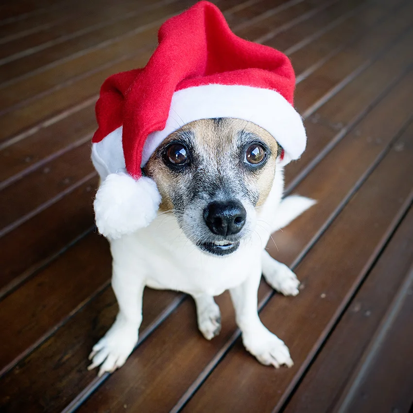 Santa-Sam-Wishlist-for-Santa-2.jpg