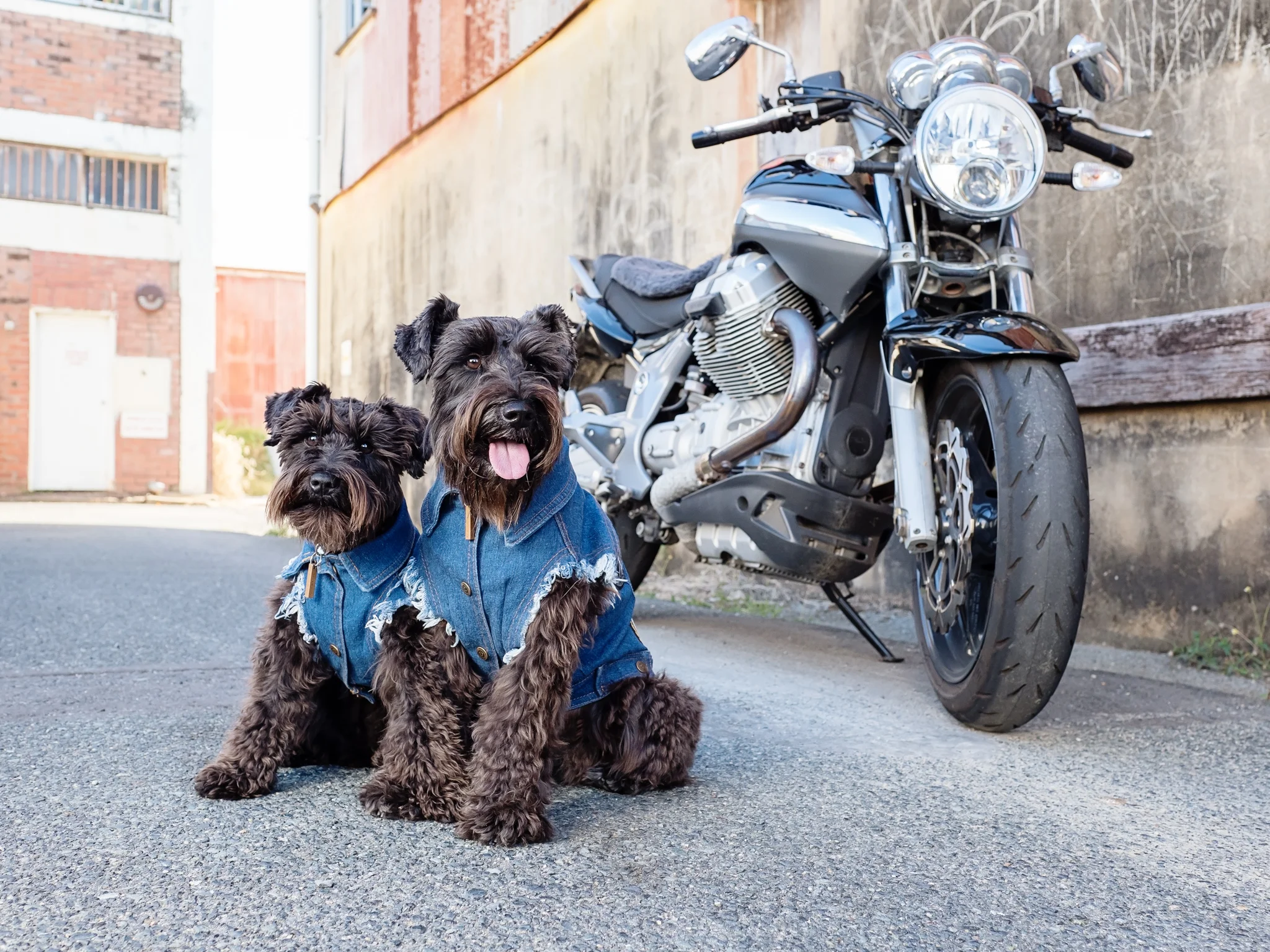 Axle & Violet